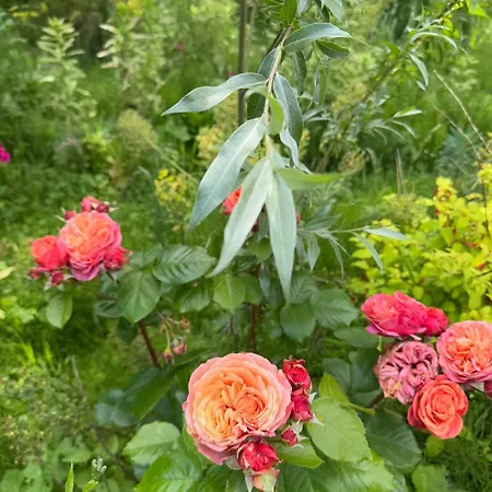 La Forestiere Du Chateau