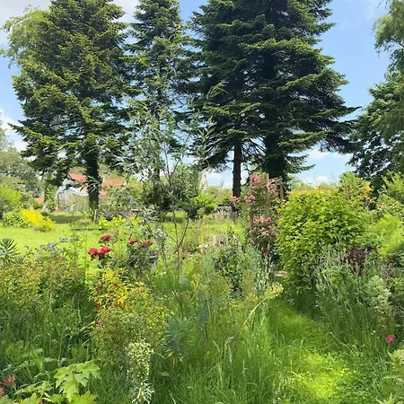 La Forestiere Du Chateau Bed & Breakfast *