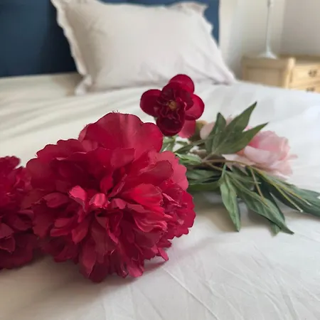 La Forestiere Du Chateau Bed & Breakfast Condette